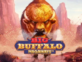 game logo by Skywind Group on wolfcasino.net