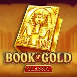game logo by Playson on wolfcasino.net