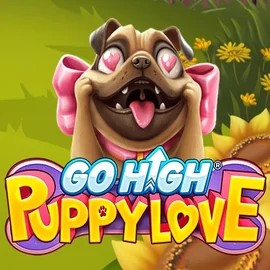 game logo by RubyPlay on wolfcasino.net