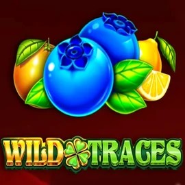 Wild Traces logo by Amusnet Interactive at Wolf Casino
